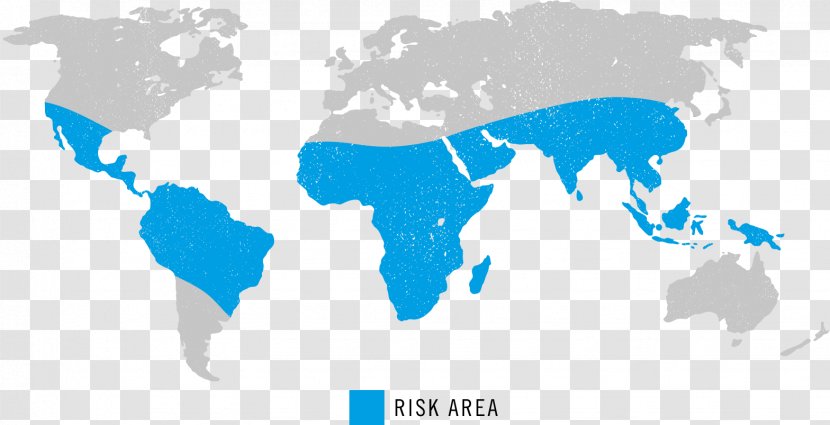 World Map Globe Old - Chikungunya Virus Infection Transparent PNG