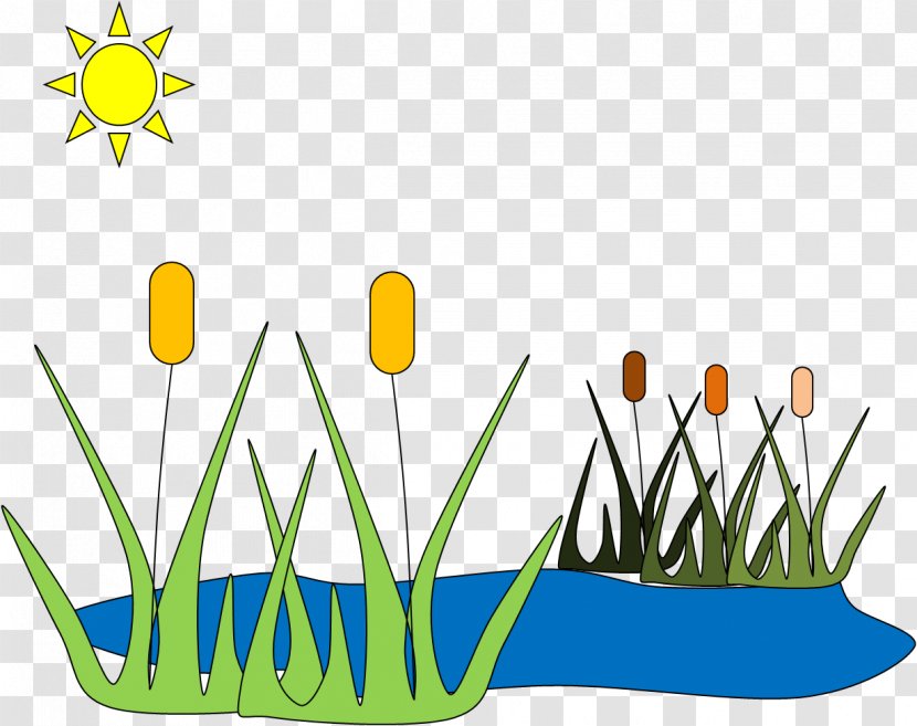 Pond Clip Art - Public Domain - Pomd Meadow Cliparts Transparent PNG