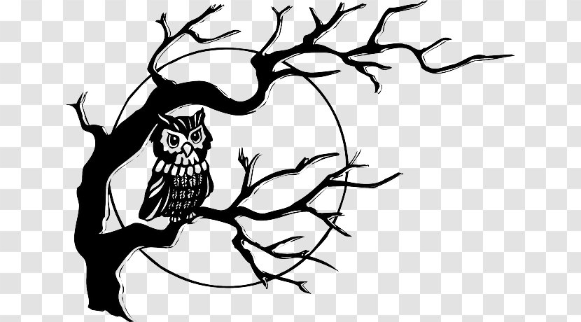 Black-and-white Owl Drawing Clip Art - Blackandwhite - Illustration Transparent PNG