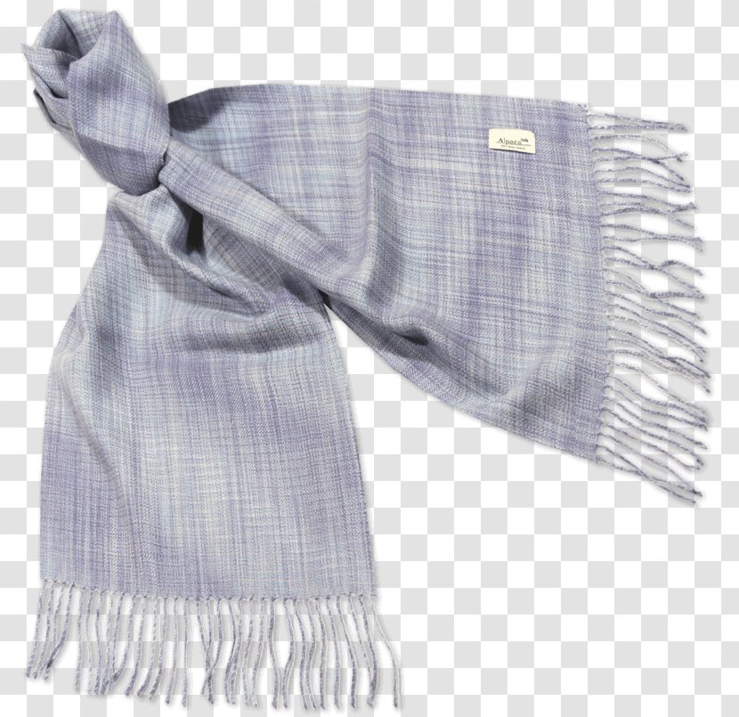 Scarf Stole - With Scarves Baby Transparent PNG