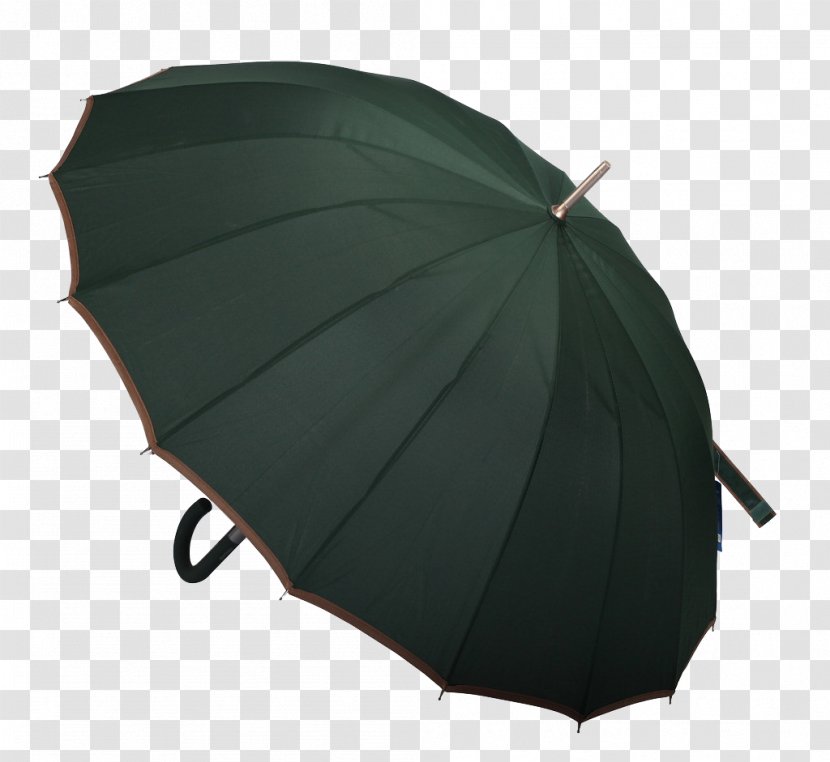 Umbrella - Photography - Hold Up Umbrellas Transparent PNG