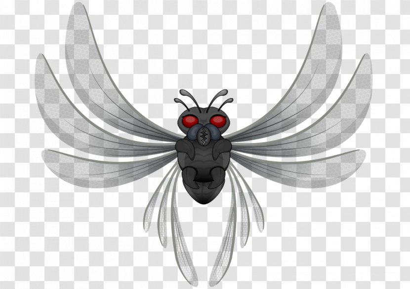 Clip Art - Arthropod - Pollinator Transparent PNG