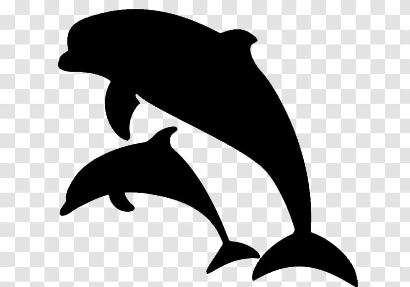 Clip Art Dolphin Illustration Image Drawing - Common Bottlenose - Killer Whale Transparent PNG
