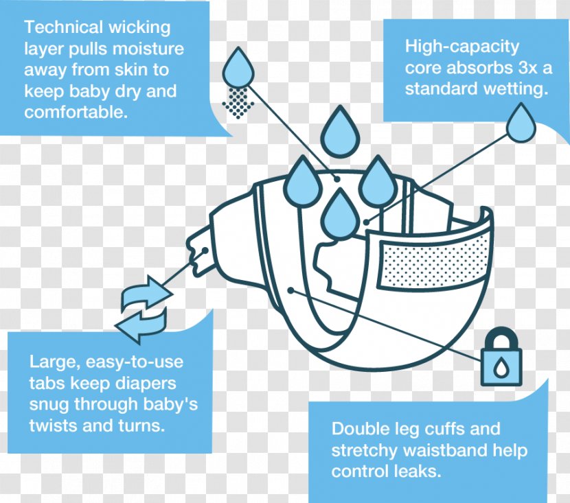 Diaper Seventh Generation Canada, Inc. Infant Training Pants Iroquois - Diagram - Dermatitis Transparent PNG