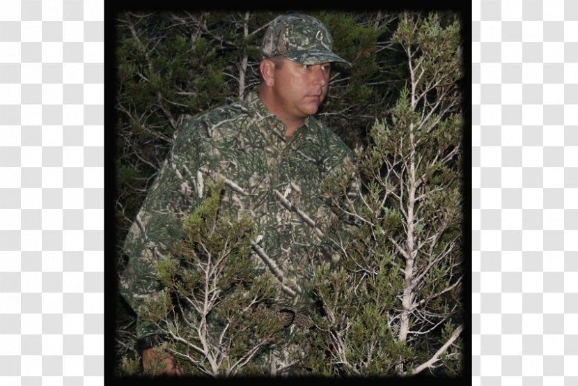 Military Camouflage Cedar Creek Camo Conifers - Tree Transparent PNG