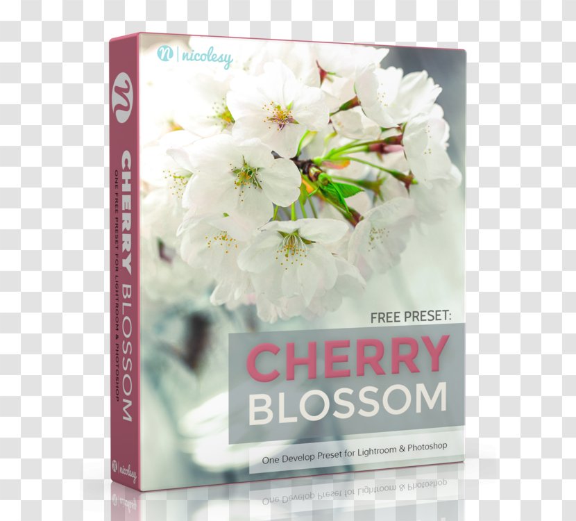 Adobe Lightroom Photography Photoshop Psd - Workflow - Cherry Material Transparent PNG