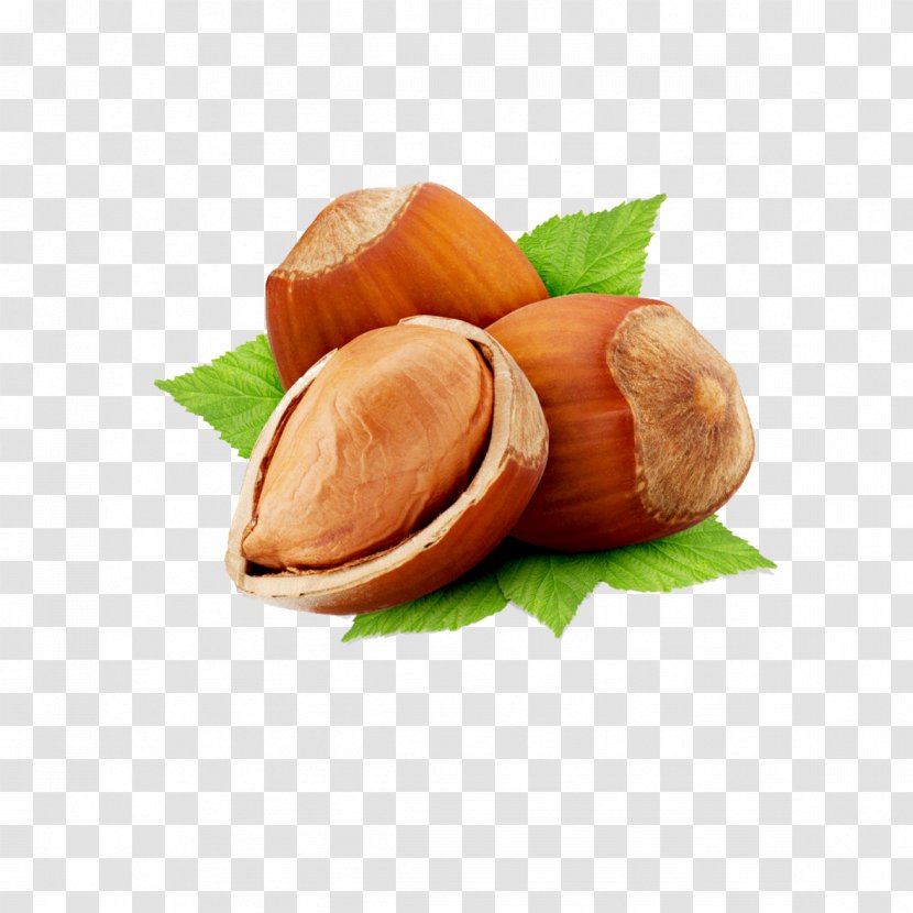 Common Hazel Hazelnut Nut Roast Vegetarian Cuisine Chestnut - Apricots Transparent PNG