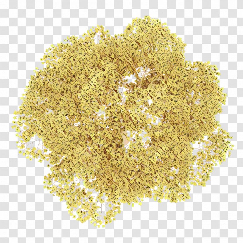 Oat Bran Yellow Celery Salt Plant Food - Cuisine Transparent PNG