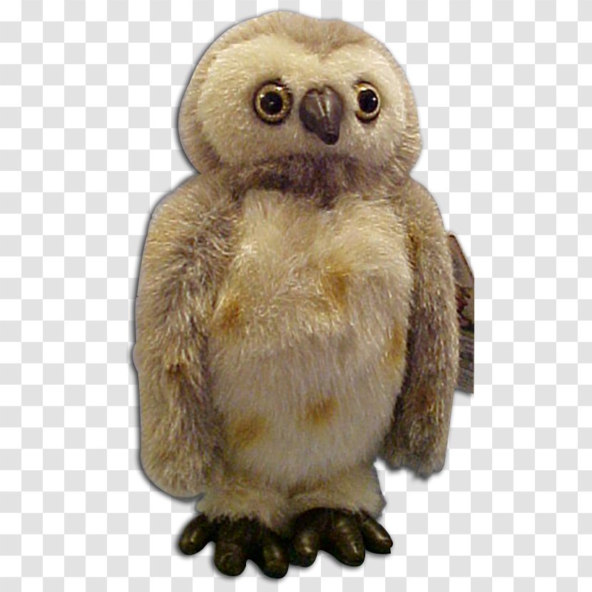Owl Beak Stuffed Animals & Cuddly Toys Terrestrial Animal Transparent PNG