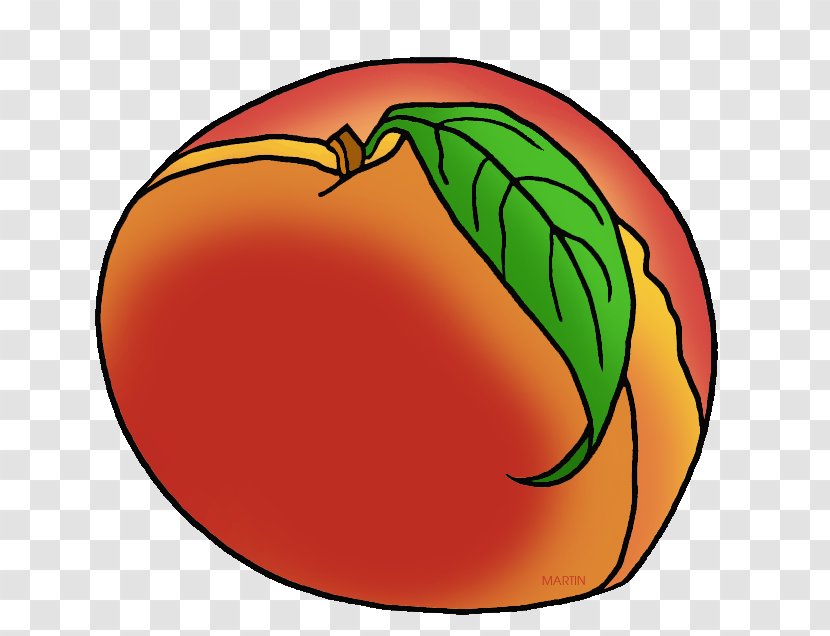Georgia Peach Fruit Clip Art - Food - Blossom Transparent PNG