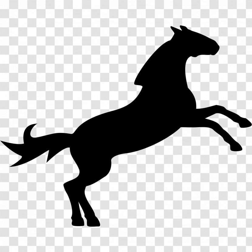 Horse Show Jumping Equestrian Clip Art - Monochrome - Horses Clipart Transparent PNG