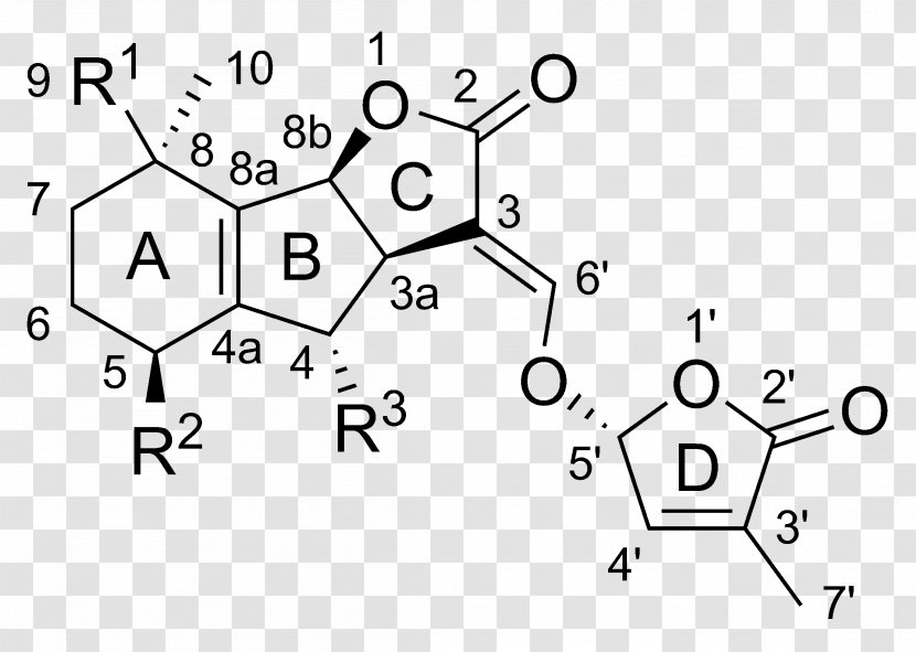 Strigolactone Plant Hormone Parasitic Auxin - Watercolor - Structural Drawing Transparent PNG