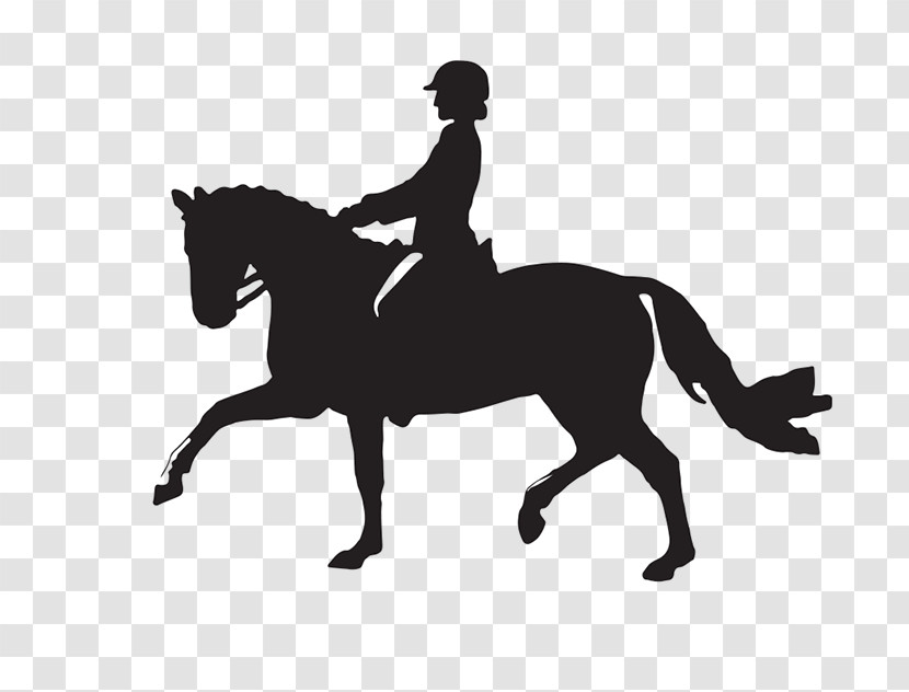 Horse English Riding Equestrianism Bridle Animal Sports Transparent PNG