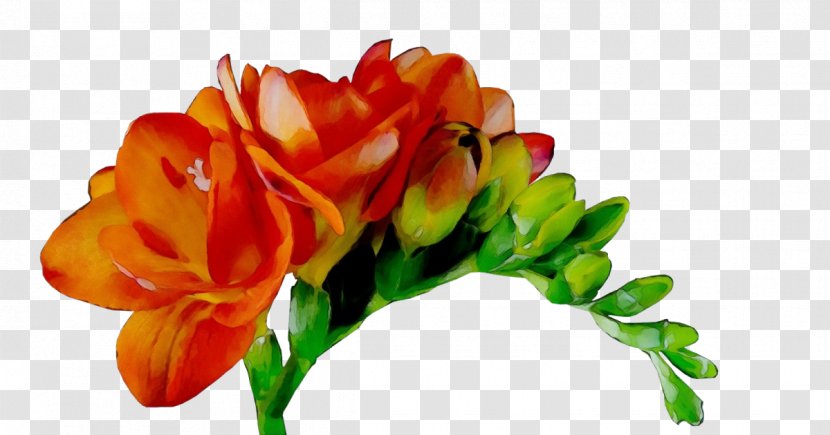 Flowers Background - Flower - Pedicel Rose Transparent PNG