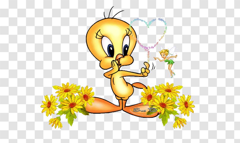 Tweety Sylvester Animaatio Orkut - Photography - Piu Transparent PNG