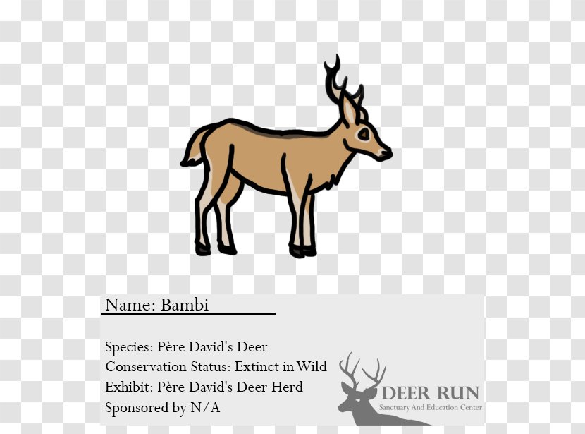 Elk Reindeer Cattle Antelope Transparent PNG