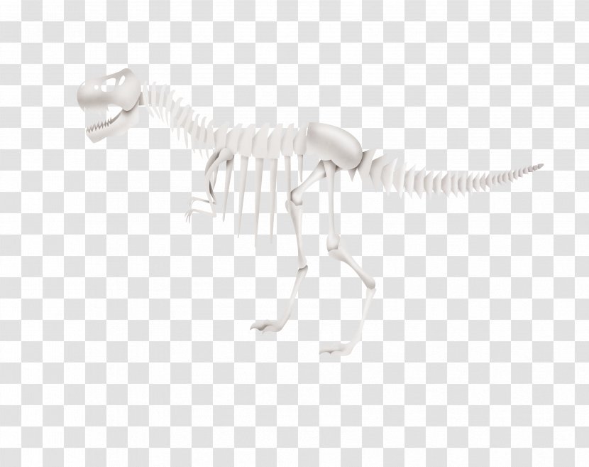 White Black Pattern - And - Dinosaur Skeleton Transparent PNG
