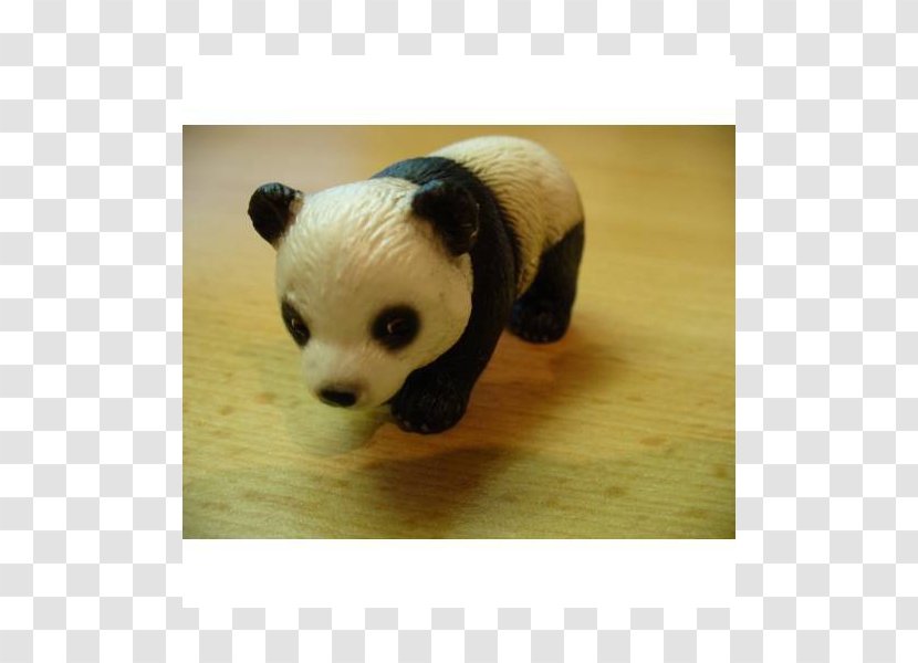Giant Panda Bear Carnivora Stuffed Animals & Cuddly Toys - Snout - Baby Transparent PNG
