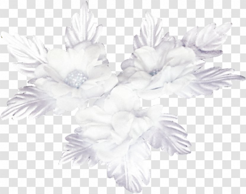 Drawing Image Petal Cat Skunks - Flower - Wing Transparent PNG