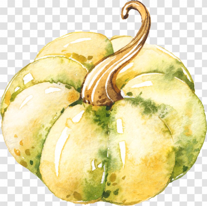 Gourd Pumpkin Winter Squash Watercolor Painting - Cucurbita - Painted Transparent PNG
