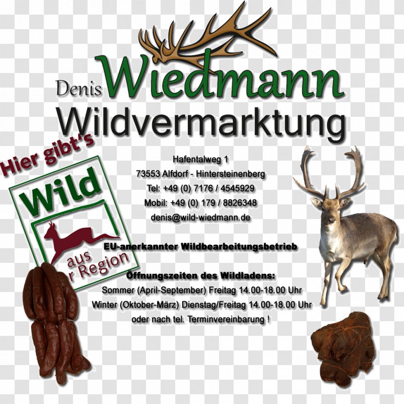 Reindeer Antler Denis Wiedmann Wildvermarktung Font Tree Transparent PNG