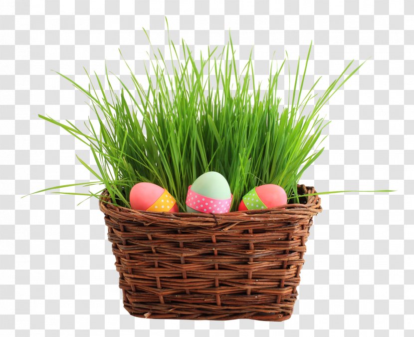 Easter Bunny Egg Basket - Grass Family Transparent PNG