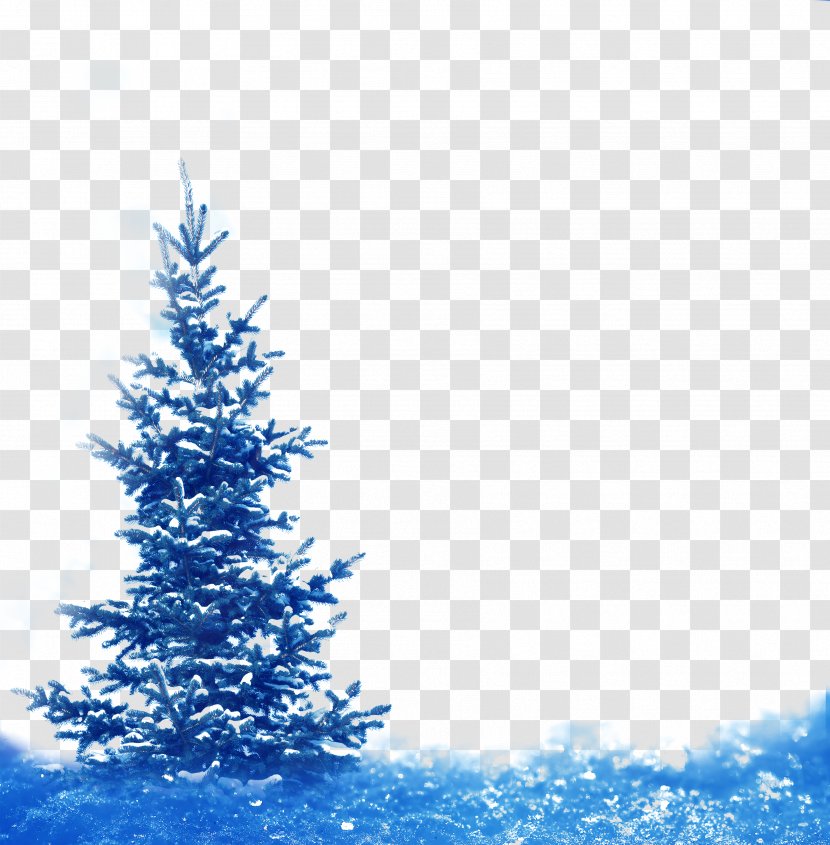 Spruce Fir Winter Snow Landscape - Fantasy Blue Snowflake Pine Festive Decorations Transparent PNG