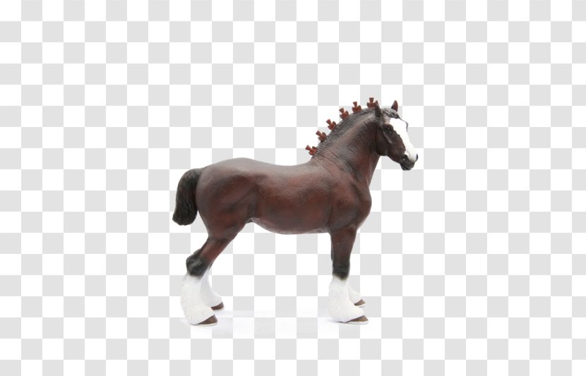 Stallion Shire Horse Arabian Friesian Belgian - Mare - Mustang Transparent PNG