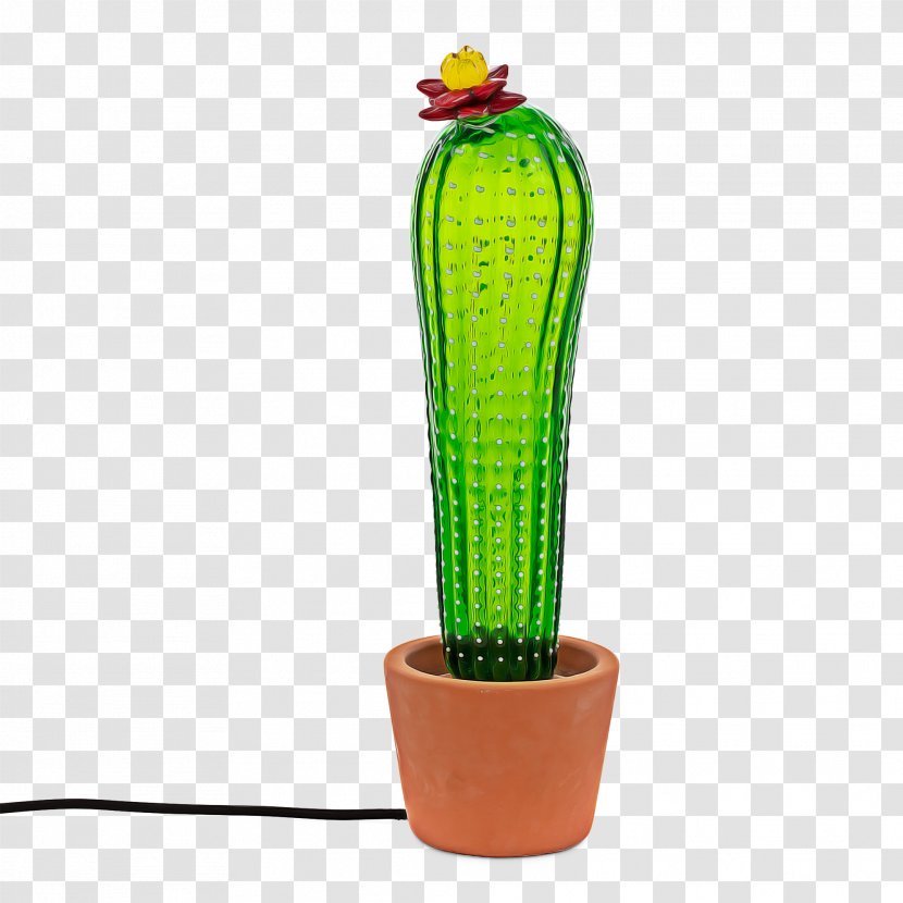 Light Bulb Cartoon - Succulent Plant - Hedgehog Cactus Saguaro Transparent PNG