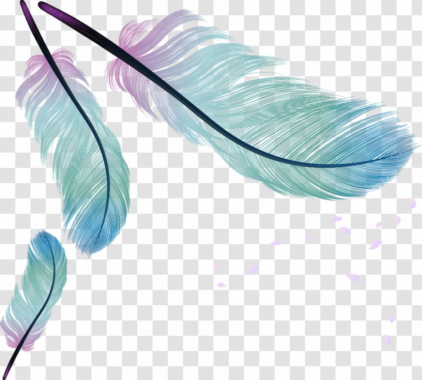 Feather Bird - Quill - Cartoon Painted Feathers Transparent PNG