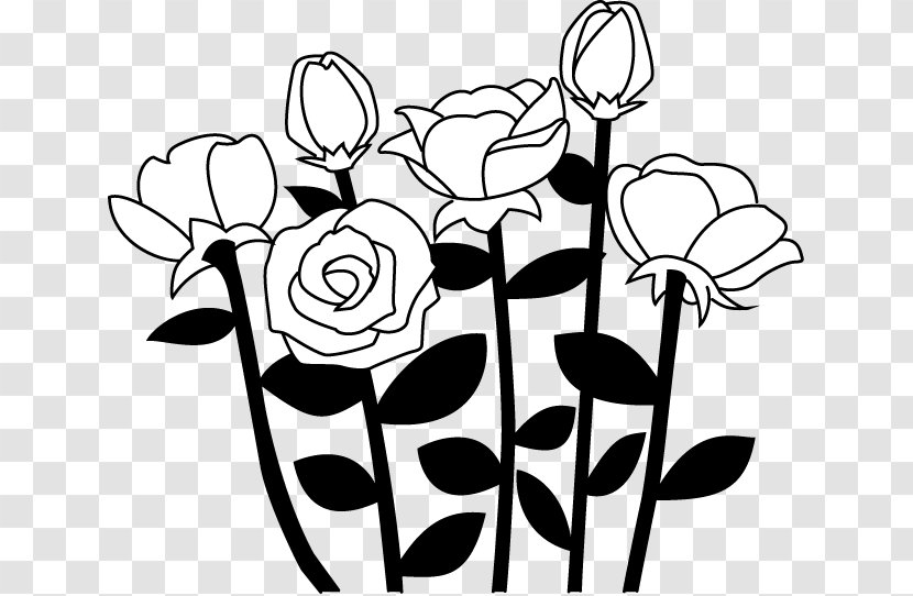 Floral Design Black And White Visual Arts Rose - Branch Transparent PNG