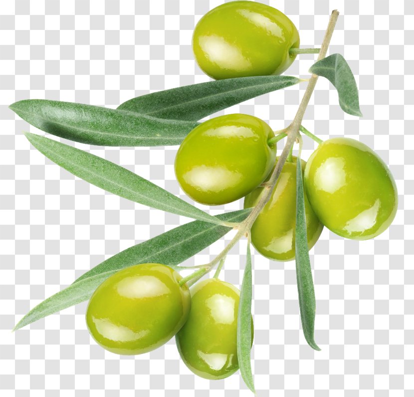 Olive Oil Cosmetics Nature Skin Care - Fruit Transparent PNG