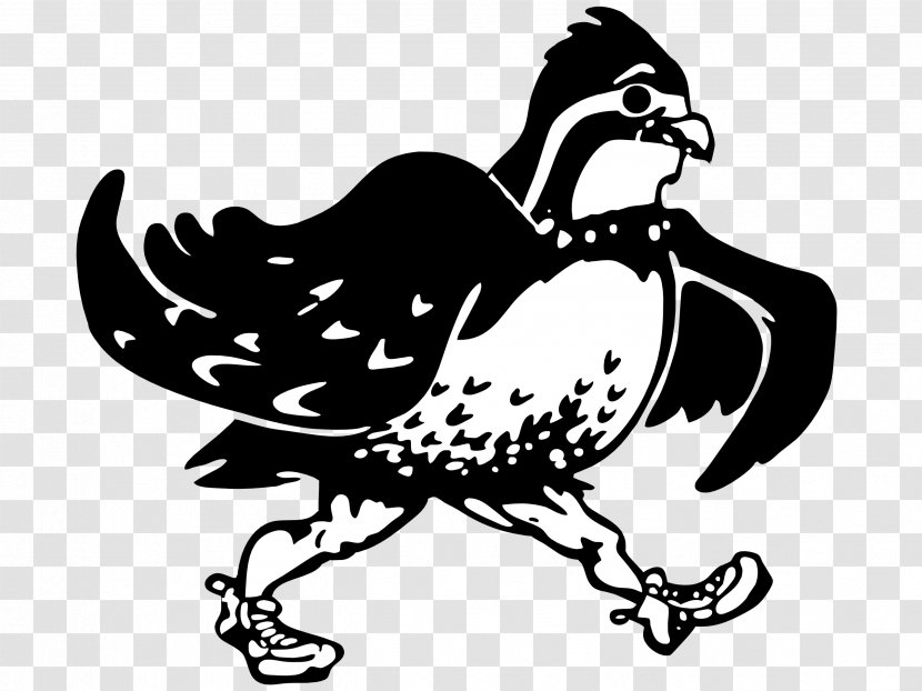 Quail Phasianidae Chicken Bird Logo Transparent PNG