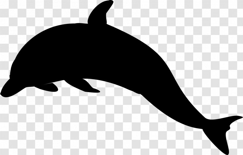 Sea Lion Miami Dolphins Dolphin Killer Whale Clip Art - Cdr - Fauna Transparent PNG