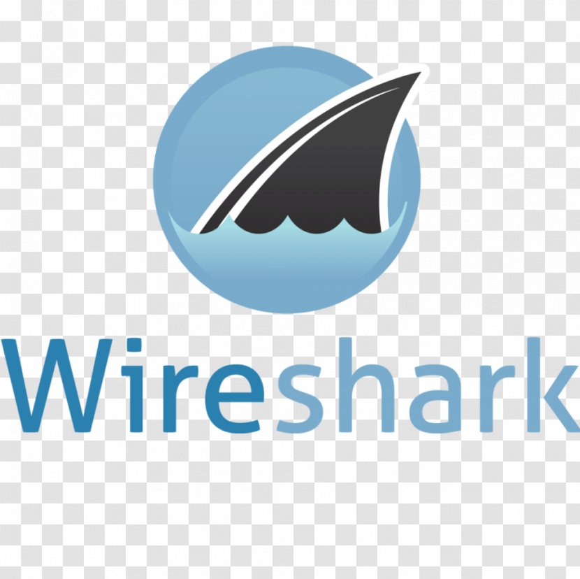 Wireshark Packet Analyzer Computer Software Protocol - Network - Leopard Shark Transparent PNG