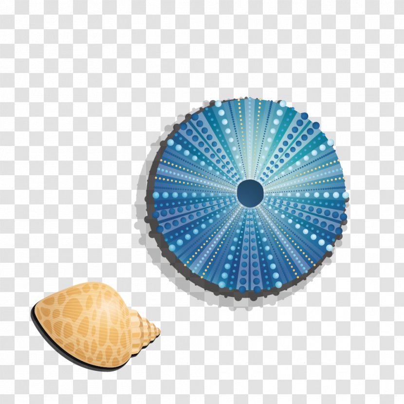 Blue Seashell Color - Green - Conch Shell Transparent PNG