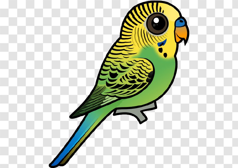 Budgerigar Bird Parrot Parakeet Clip Art - Beak Transparent PNG