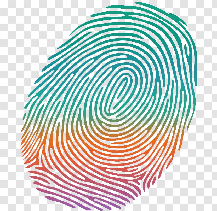 Fingerprint Royalty-free Clip Art - Stock Photography - Symmetry Transparent PNG