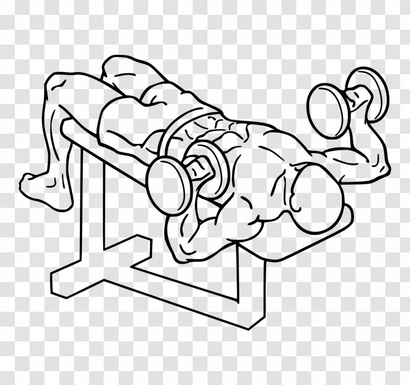 Bench Press Dumbbell Fly Barbell - Heart - Color Pull Down Transparent PNG
