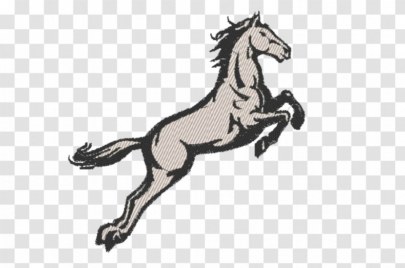 Mustang Stallion Halter Colt Mane - Horse Like Mammal Transparent PNG