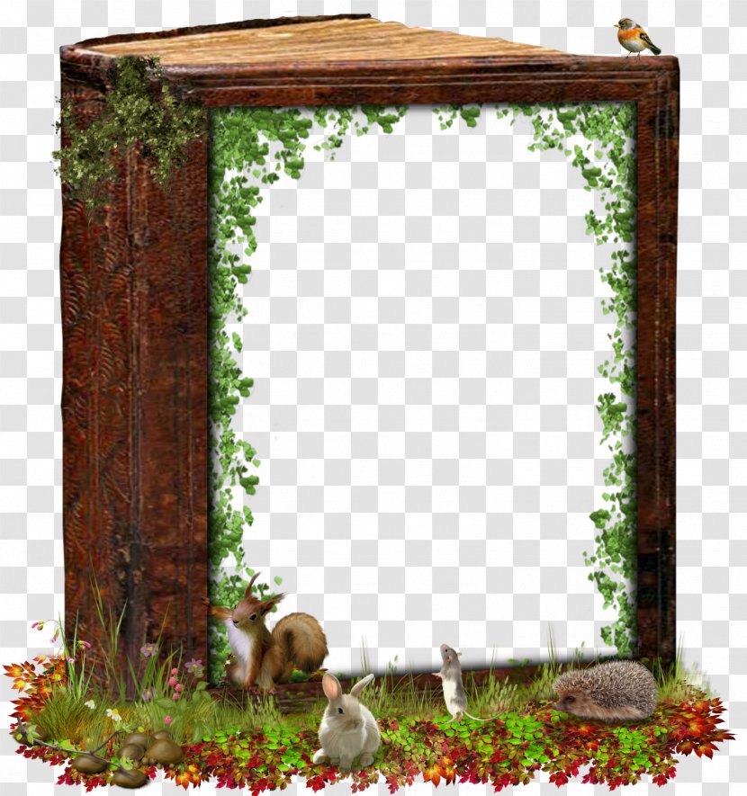 Picture Frames Window Mirror - Arch - Fond Transparent PNG