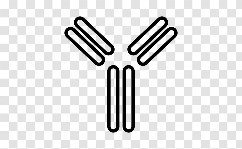 Antibody Line - T Independent Antigen - Architecture Transparent PNG