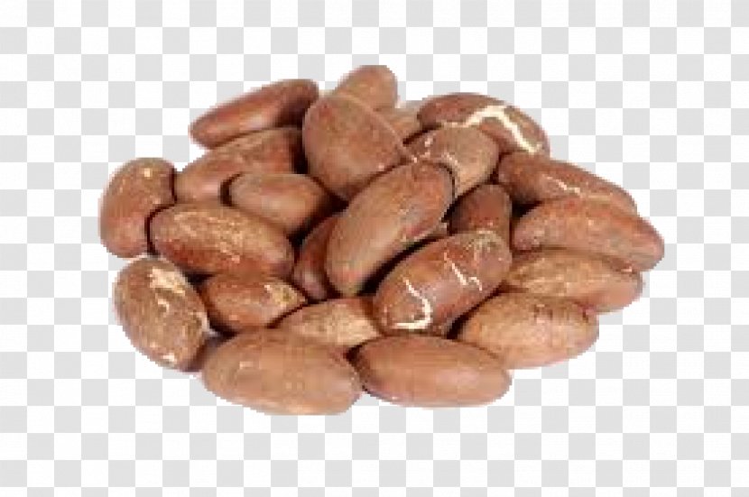 Bitter Kola Nut West Africa Health Food - Chocolate Coated Peanut - Raw Garlic Benefits Transparent PNG