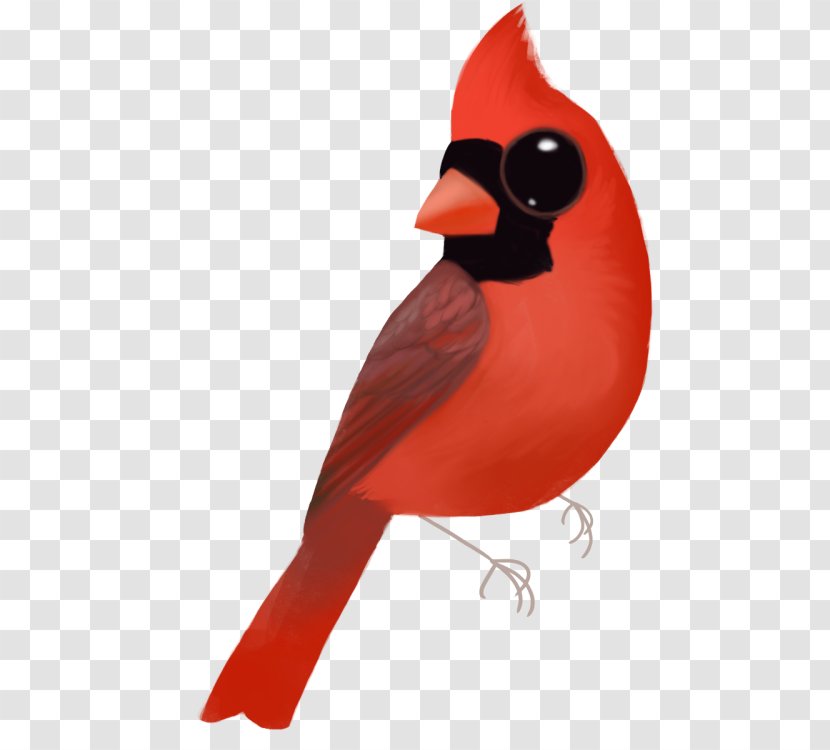 Beak - Songbird - Cardinalis Transparent PNG