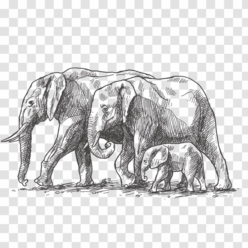 African Elephant World Day Family Drawing - Fauna - Vector Decoration Transparent PNG