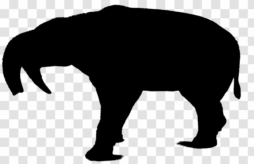 Wolf Silhouette Indian Elephant Bear Art - Feeling - Tail Transparent PNG