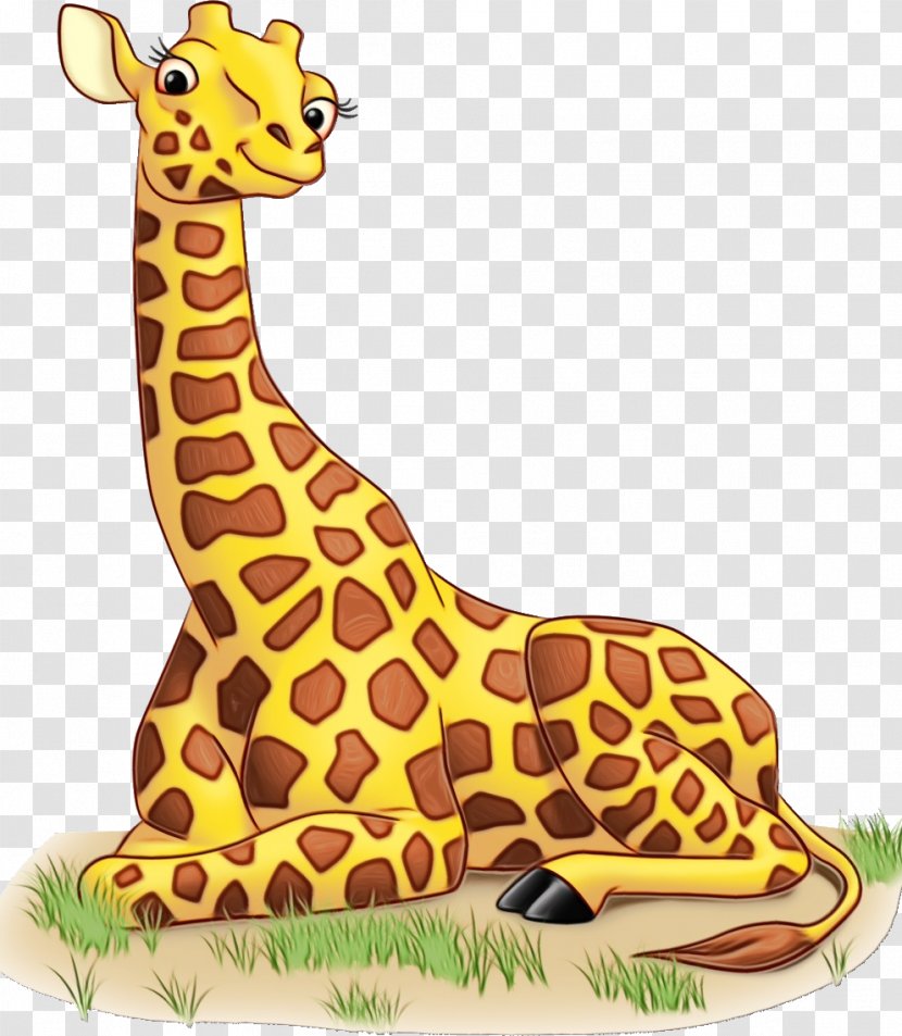 Giraffe Giraffidae Terrestrial Animal Figure Wildlife - Yellow - Snout Transparent PNG