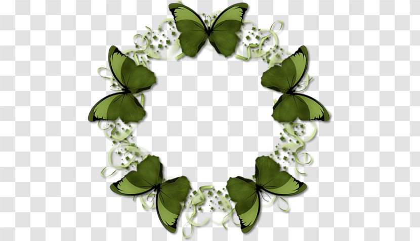 Writing Flower Dog Paddle Pattern - Watch - Butterfly Ring Transparent PNG