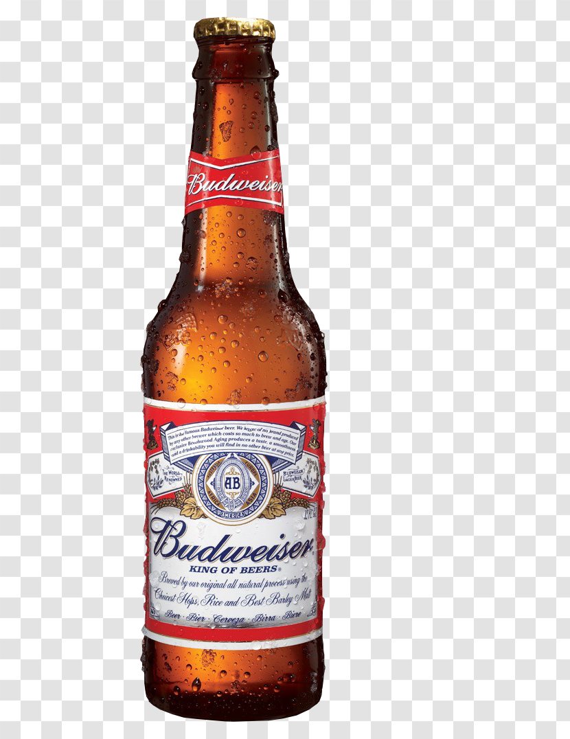 Budweiser Beer Anheuser-Busch Lager United States - Bottle - Garrafa Cerveja Transparent PNG