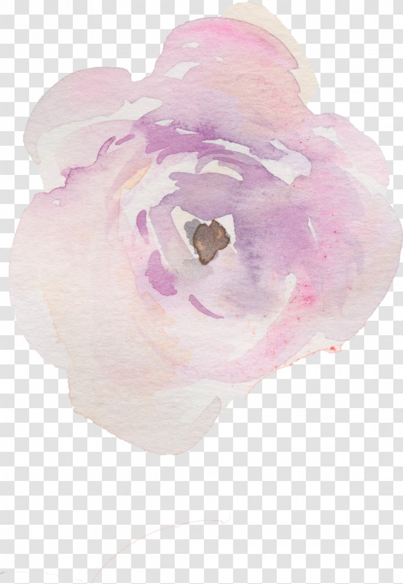 Watercolor Painting Texture Drawing - Rose Family - Hand Painted Flowers Transparent PNG